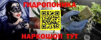 спиды Будённовск